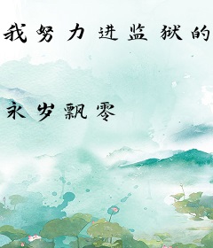 我努力进监狱的那些年