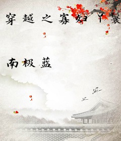 穿越之寡妇丫鬟