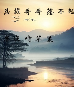 总裁哥哥惹不起