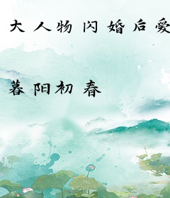 大人物闪婚后爱