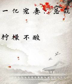 一亿宠妻：总裁轻点宠