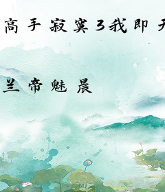 高手寂寞3我即天意