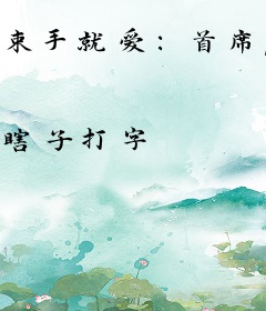 束手就爱：首席，别追我