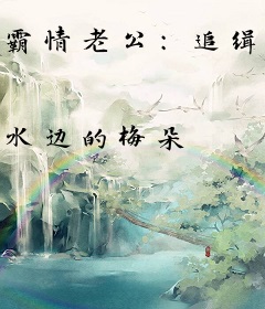 霸情老公：追缉不乖新妻