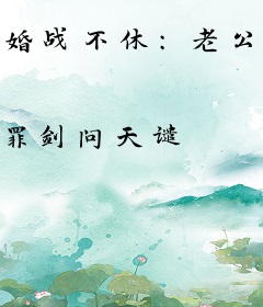 婚战不休：老公宠太深