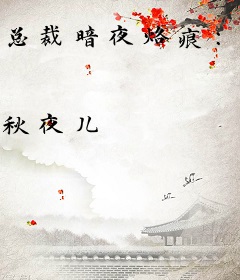 总裁暗夜烙痕：宝贝我来疼你