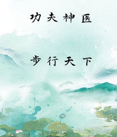 功夫神医