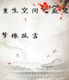 重生空间之盛宠娇妻