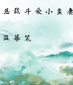 总裁斗爱小蛮妻