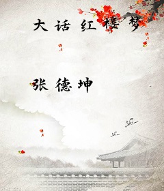大话红楼梦