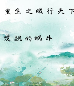 重生之贼行天下