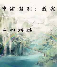 神偷驾到：盛宠极品五王妃