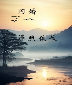 闪婚