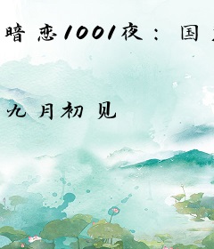 暗恋1001夜：国民男神带回家