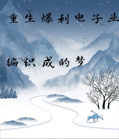 重生爆利电子业