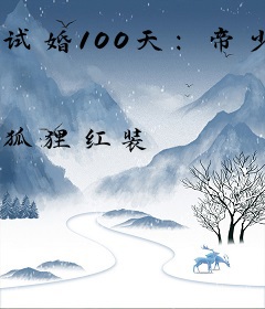 试婚100天：帝少，别太坏