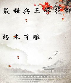 最强兵王混花都