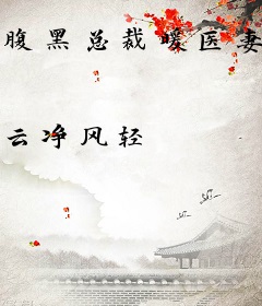 腹黑总裁暖医妻