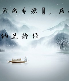 首席专宠①，总裁先生太放肆