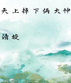 天上掉下俩大神（网游）