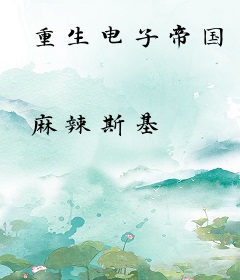 重生电子帝国