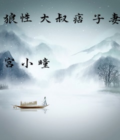 狼性大叔痞子妻