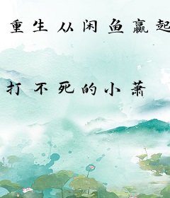 重生从闲鱼赢起