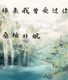 缘来我曾爱过你