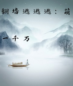 翻墙逃逃逃：萌物小王妃