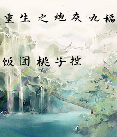 重生之炮灰九福晋