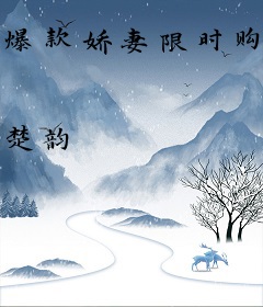 爆款娇妻限时购：总裁，请秒杀