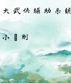 大武侠辅助系统