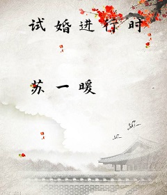 试婚进行时