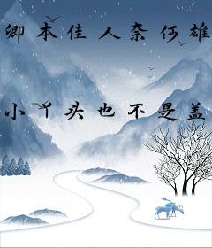 卿本佳人奈何雄气