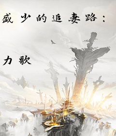 盛少的追妻路：爱我就好