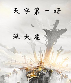 天字第一婿