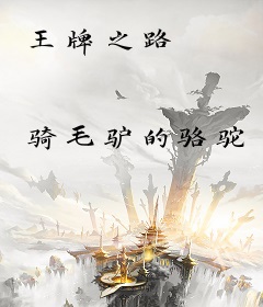 王牌之路