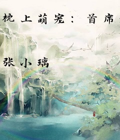 枕上萌宠：首席老公别馋我