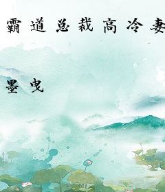 霸道总裁高冷妻