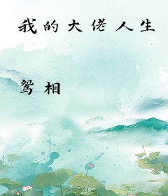 我的大佬人生