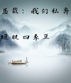 总裁：我们私奔吧！