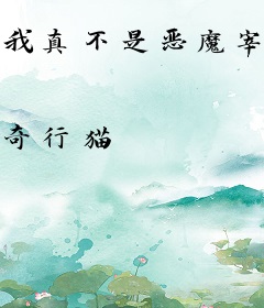 我真不是恶魔宰相