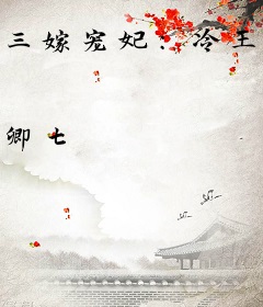 三嫁宠妃：冷王追捕小王妃