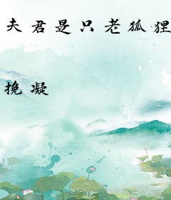 夫君是只老狐狸