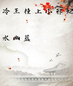 冷王撞上小邪妃