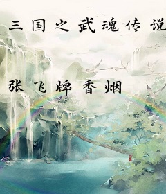 三国之武魂传说