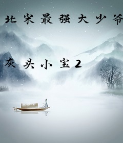 北宋最强大少爷