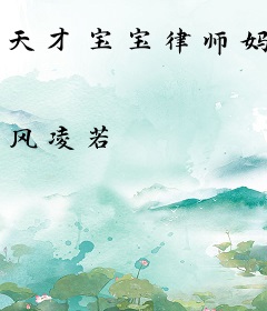 天才宝宝律师妈