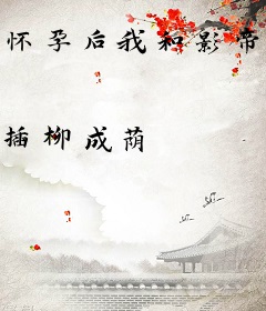 怀孕后我和影帝离婚了