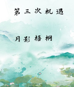 第三次机遇